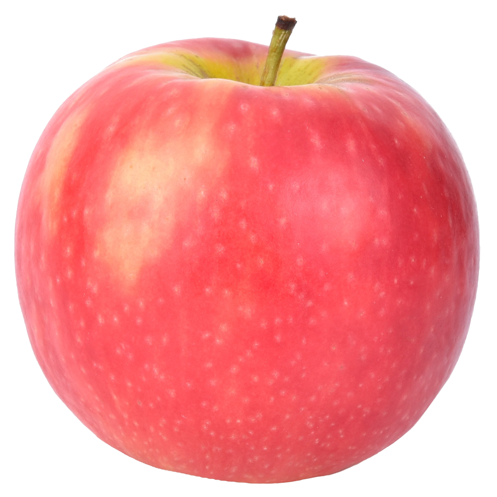 Apple picture